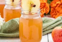 Instant Pot Mulled Apple Cider Recipe for Cozy Fall Gatherings