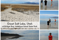 Day Trip to Antelope Island: Explore Great Salt Lake, Utah