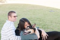An Open Letter to the Dog Who Changed My Life
