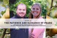 Episode 129: Erica Bland Interviews Neil Ferguson on Pandemic Modelling