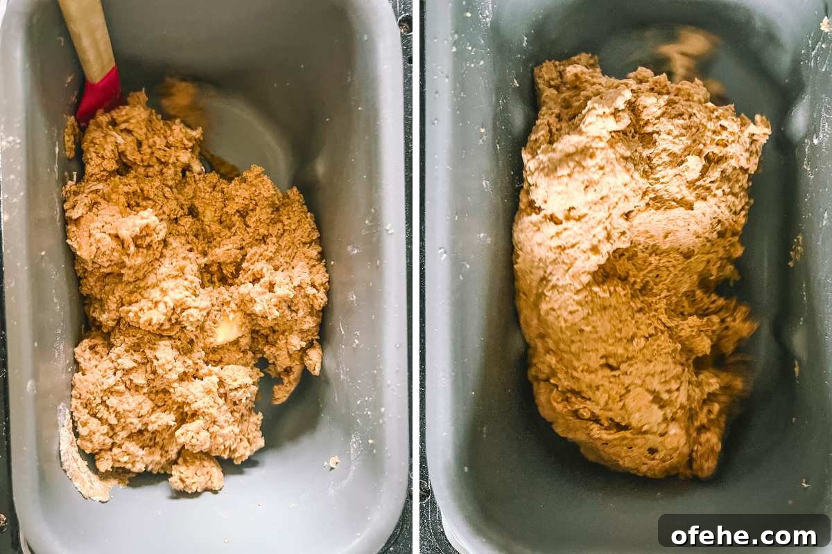 Whole Wheat Dinner Rolls Made in a Bread Machine 4 loose dough forming in bread machine.