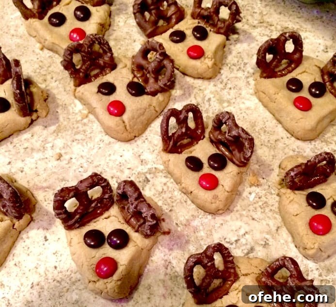 5 Crowd-Pleasing Christmas Appetizers (Plus 4 Festive Desserts) 12 Reindeer cookies.