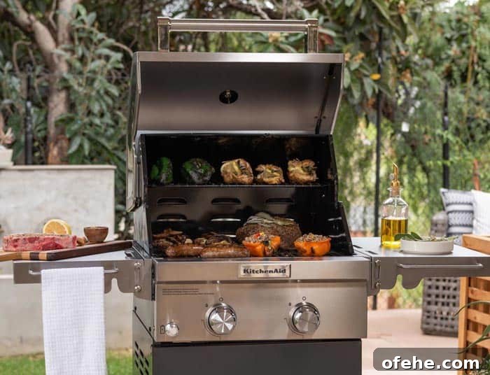 Top Small Grills for 2026: Perfect for Apartments, Balconies & Rooftops 10 kitchenaid 2 burner propane grill