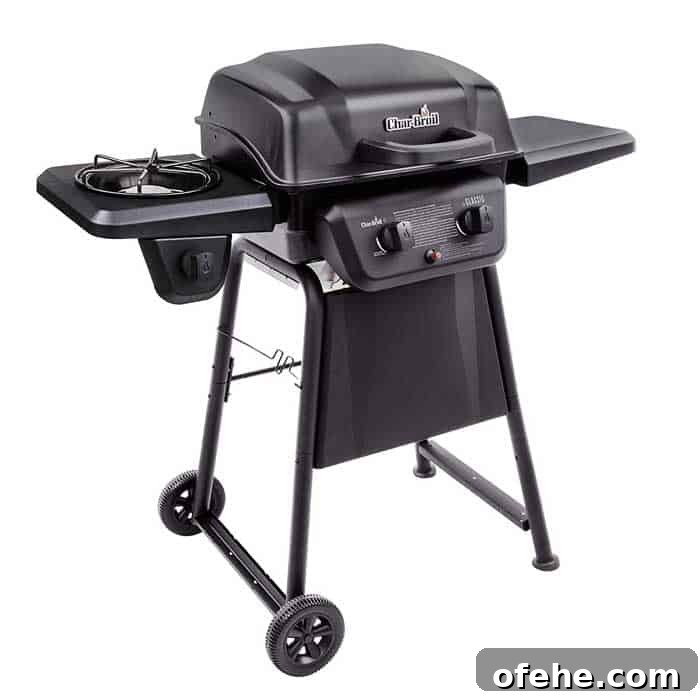 Top Small Grills for 2026: Perfect for Apartments, Balconies & Rooftops 11 Char-Broil Classic 280 2-Burner
