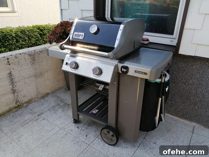 Top Small Grills for 2026: Perfect for Apartments, Balconies & Rooftops 3 weber genesis e210
