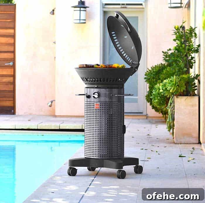 Top Small Grills for 2026: Perfect for Apartments, Balconies & Rooftops 13 Fuego F21C-H