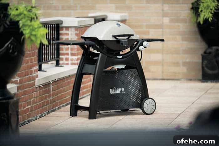 Top Small Grills for 2026: Perfect for Apartments, Balconies & Rooftops 6 Weber Q 3200 Gas Grill