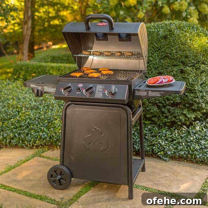Top Small Grills for 2026: Perfect for Apartments, Balconies & Rooftops 7 Char-Griller E3001