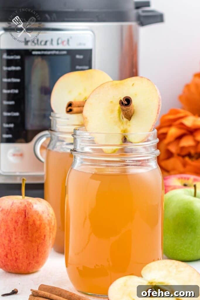 Instant Pot Apple Cider Instant Pot Apple Cider