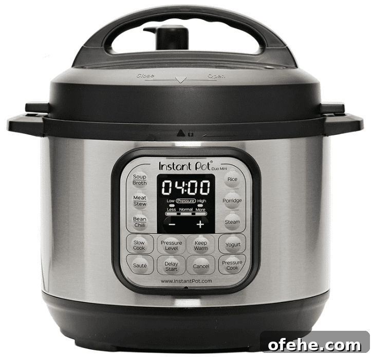 Instant Pot Mulled Apple Cider Recipe for Cozy Fall Gatherings 2 img 10522 10