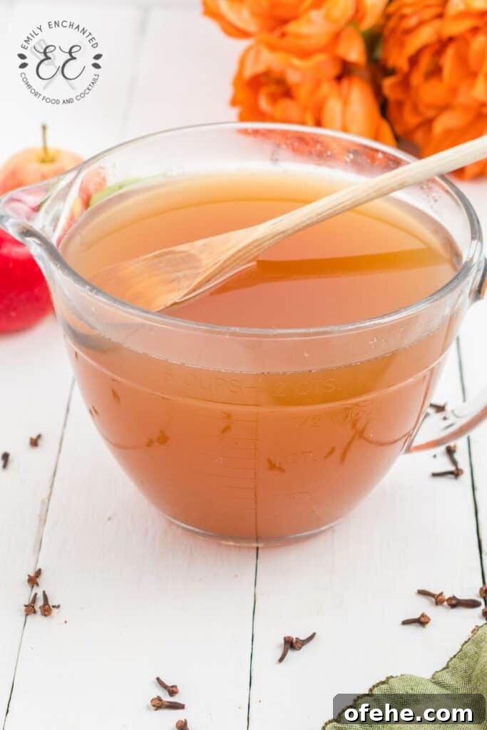 Instant Pot Apple Cider Instant Pot Apple Cider