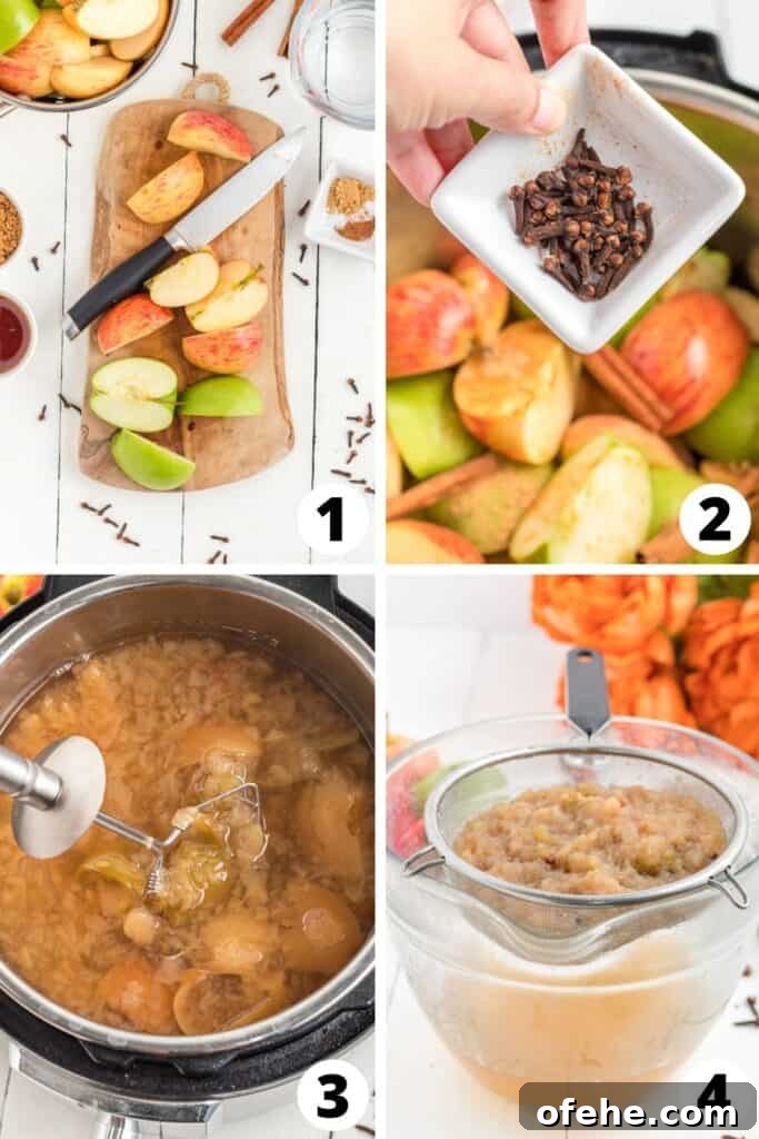 How to Make Apple Cider in Instant Pot How to Make Apple Cider in Instant Pot
