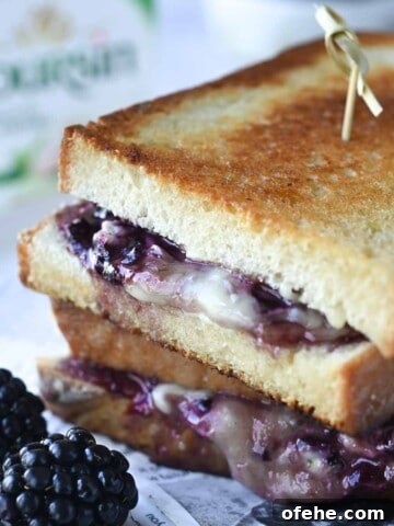 Close-up of blackberry grilled cheese with blackberries in the foreground.