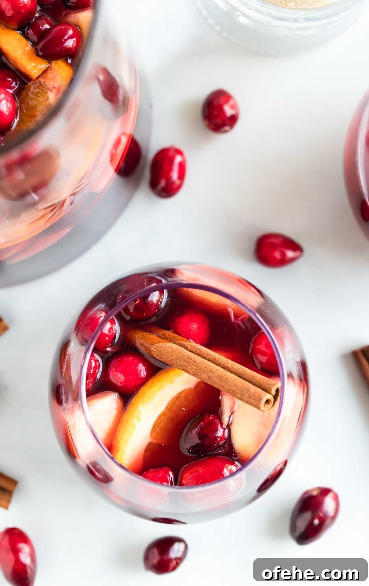 Overhead shot of fall sangria in a glass with orange slices, cranberries, apples, and a cinnamon stick