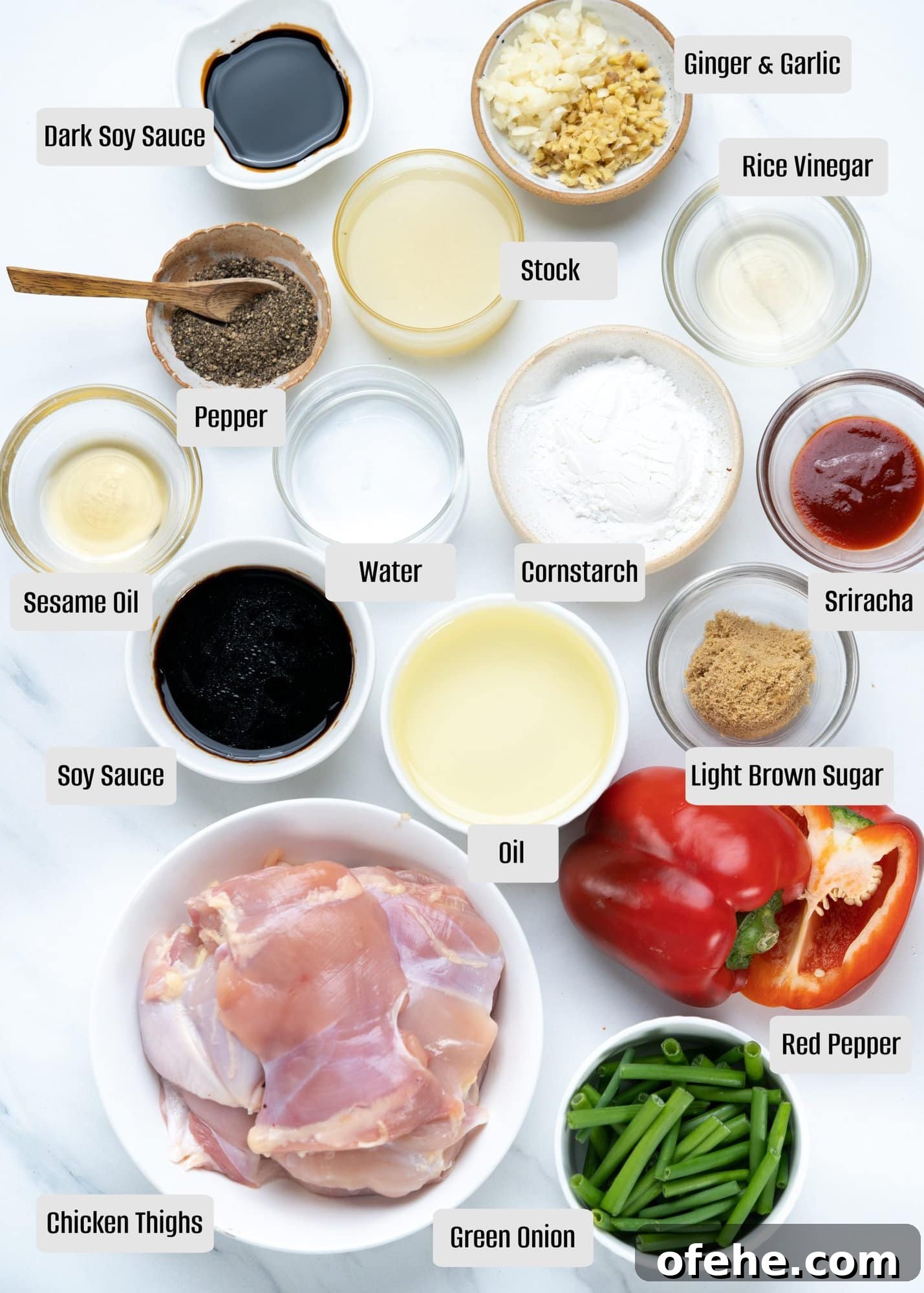 Ingredients required to make the Chinese chicken stir fry and Chinese soy-based sauce