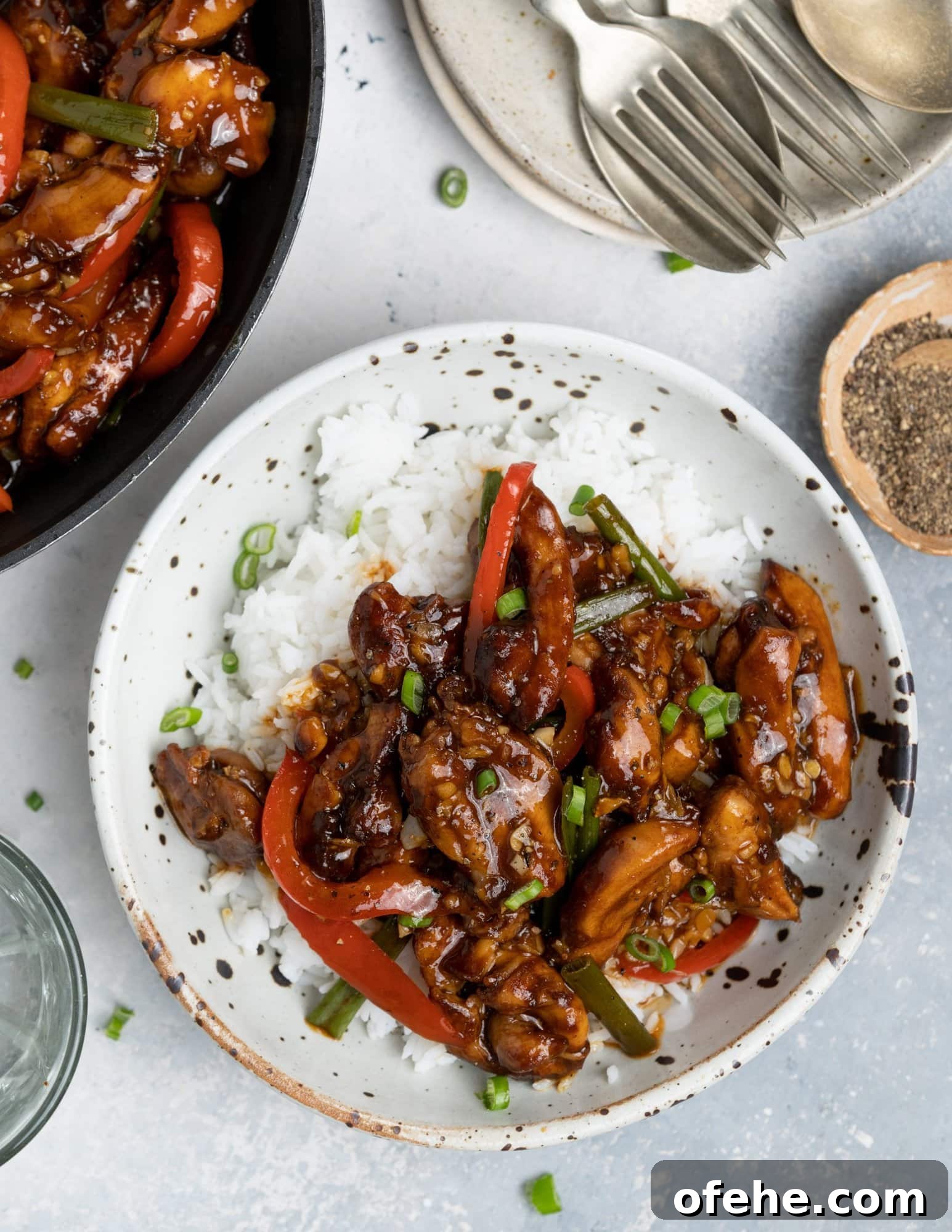 Chicken and bell pepper cooked in Chinese sauce with garlic and served in a bowl on a bed of rice. It was garnished with chopped green onion.