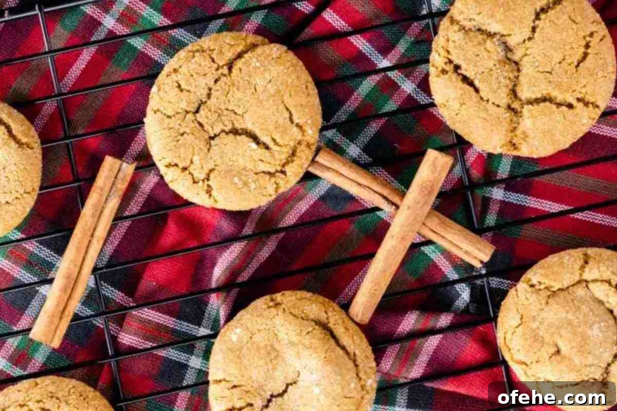 Chewy Gingersnap Cookies msn image.