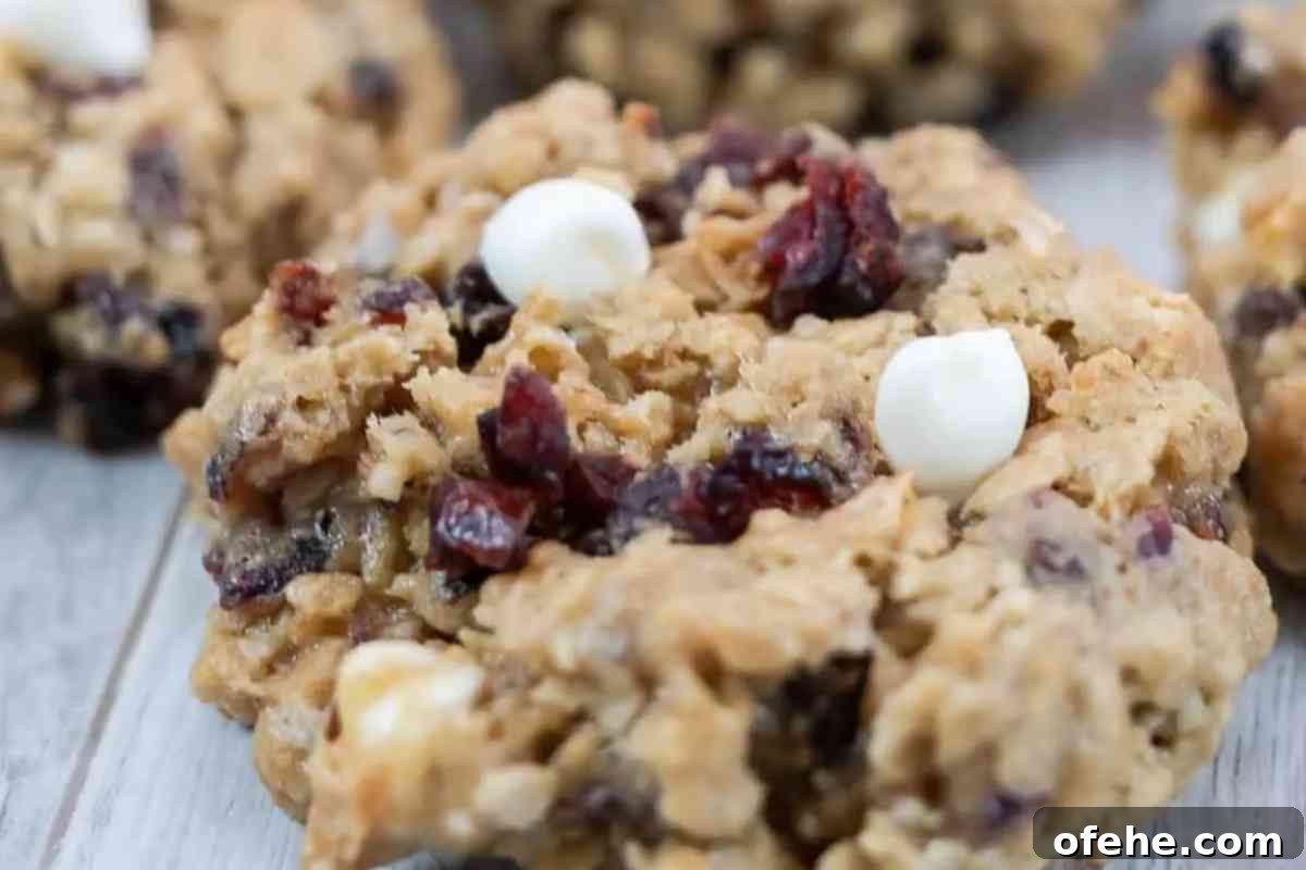 Cranberry White Chocolate Chip Oatmeal Cookies MSN image image.