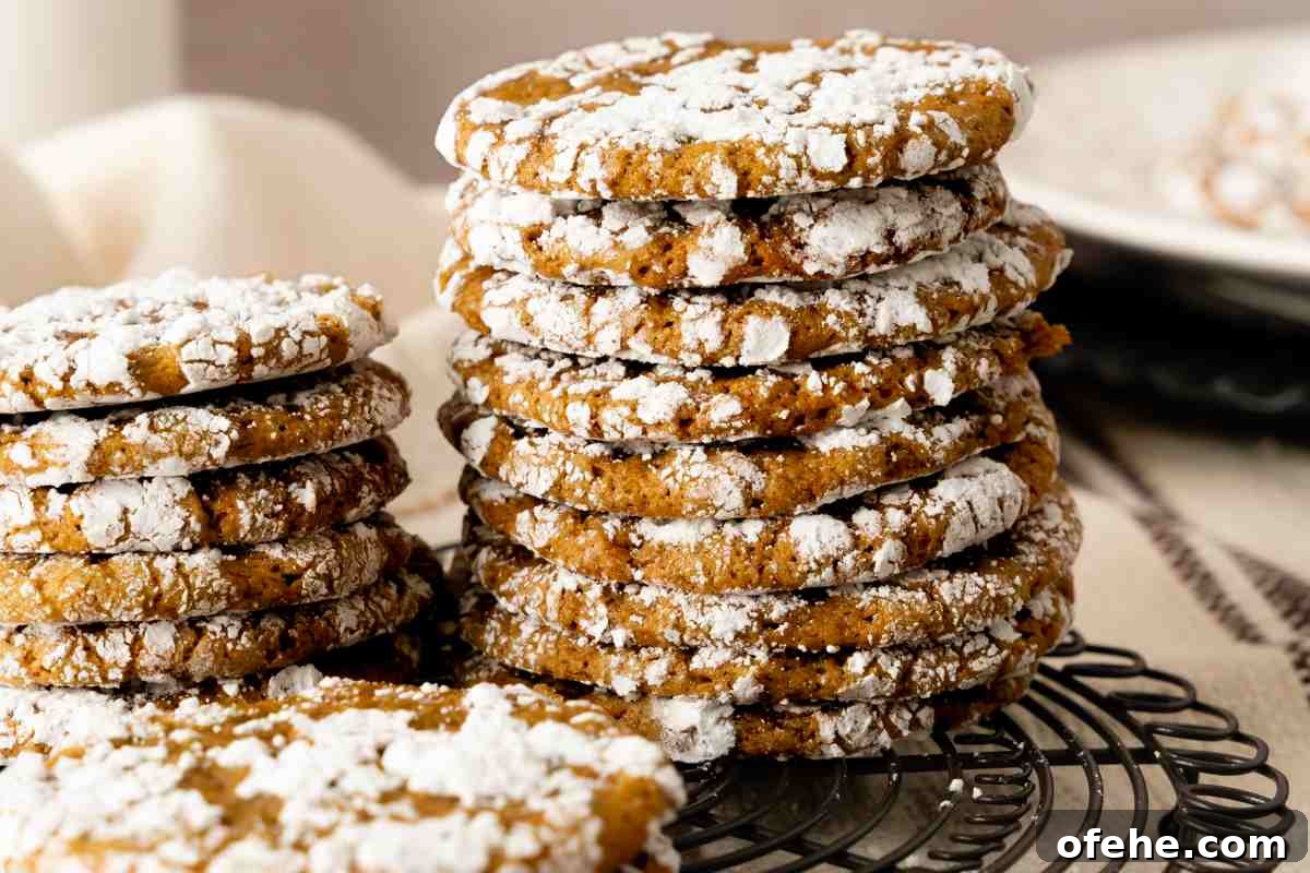 Gingerbread Crinkle Cookies msn image.