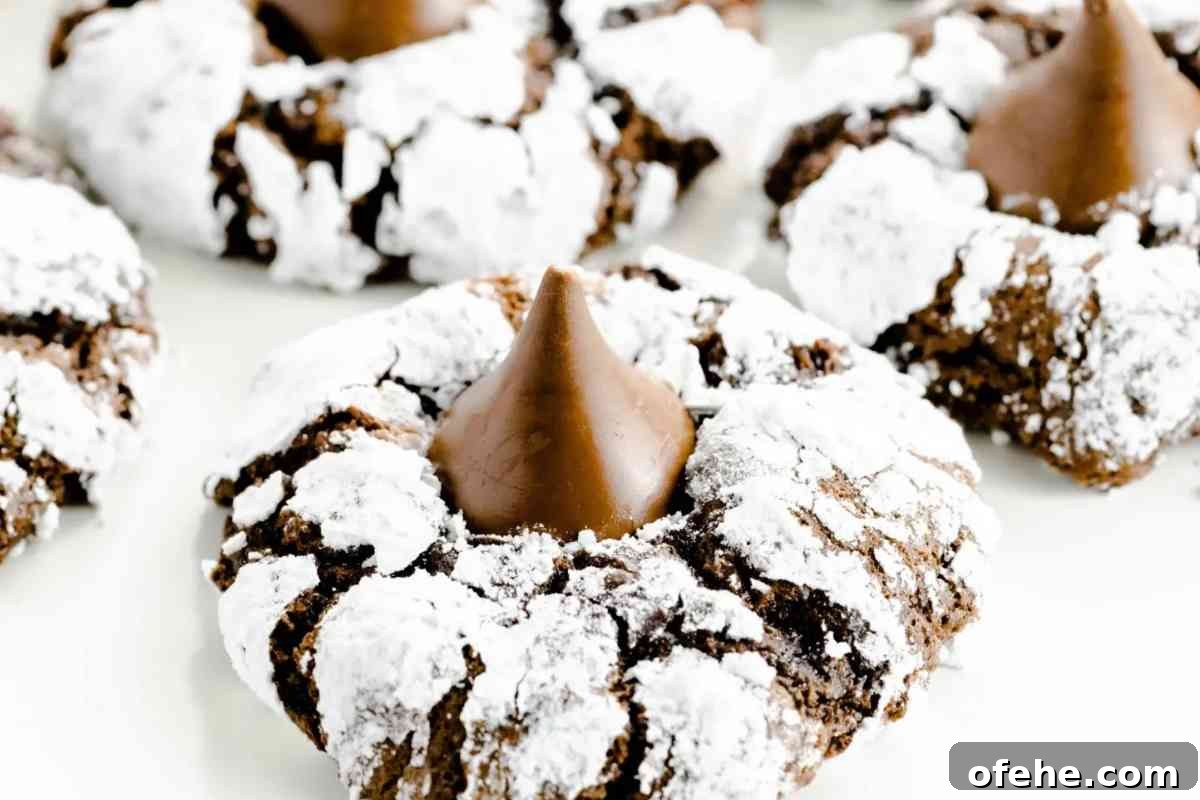 Chocolate Crinkle Kiss Cookies msn image.