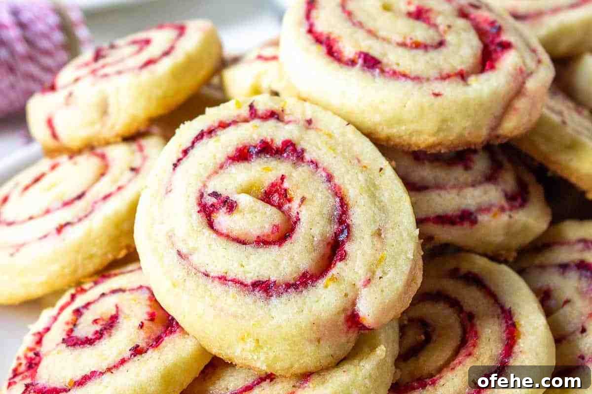 Cranberry Orange Cookies msn image.