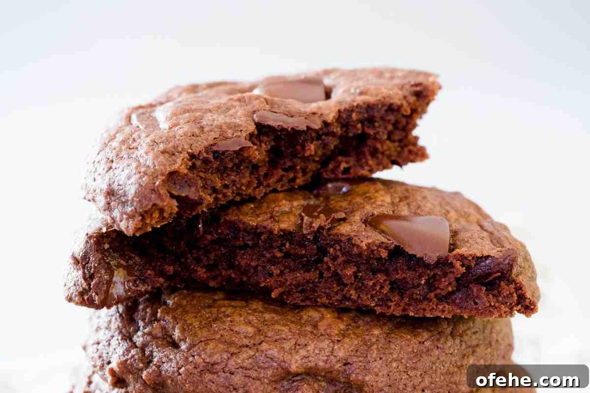 Double Chocolate Chip Cookies msn image.