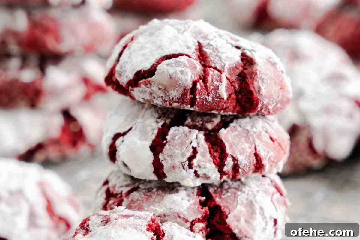 Red Velvet Crinkle Cookies msn image (1).