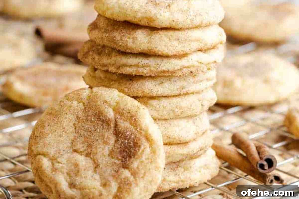 Snickerdoodle Cookies msn image (1).