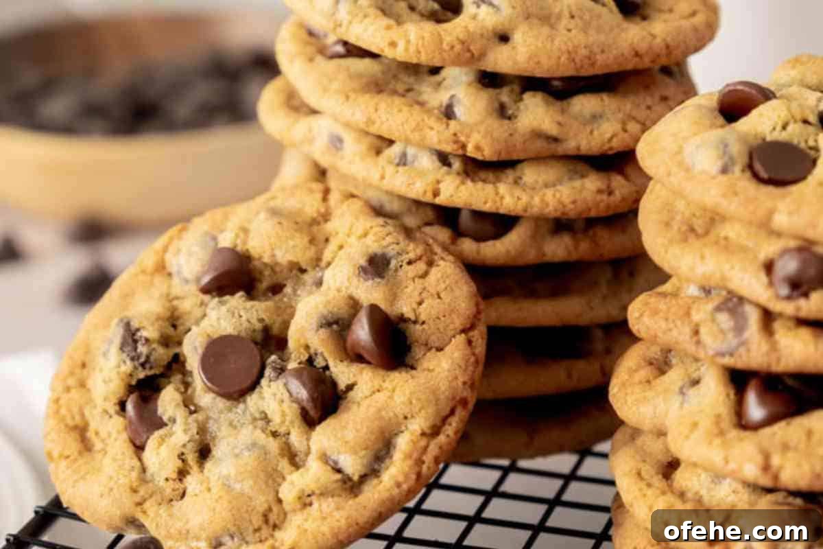 Classic Chocolate Chip Cookies msn image.