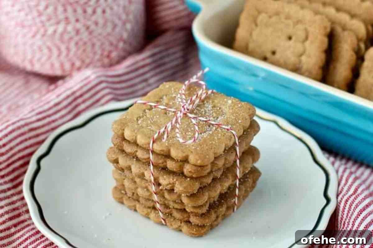 Speculoos msn image.