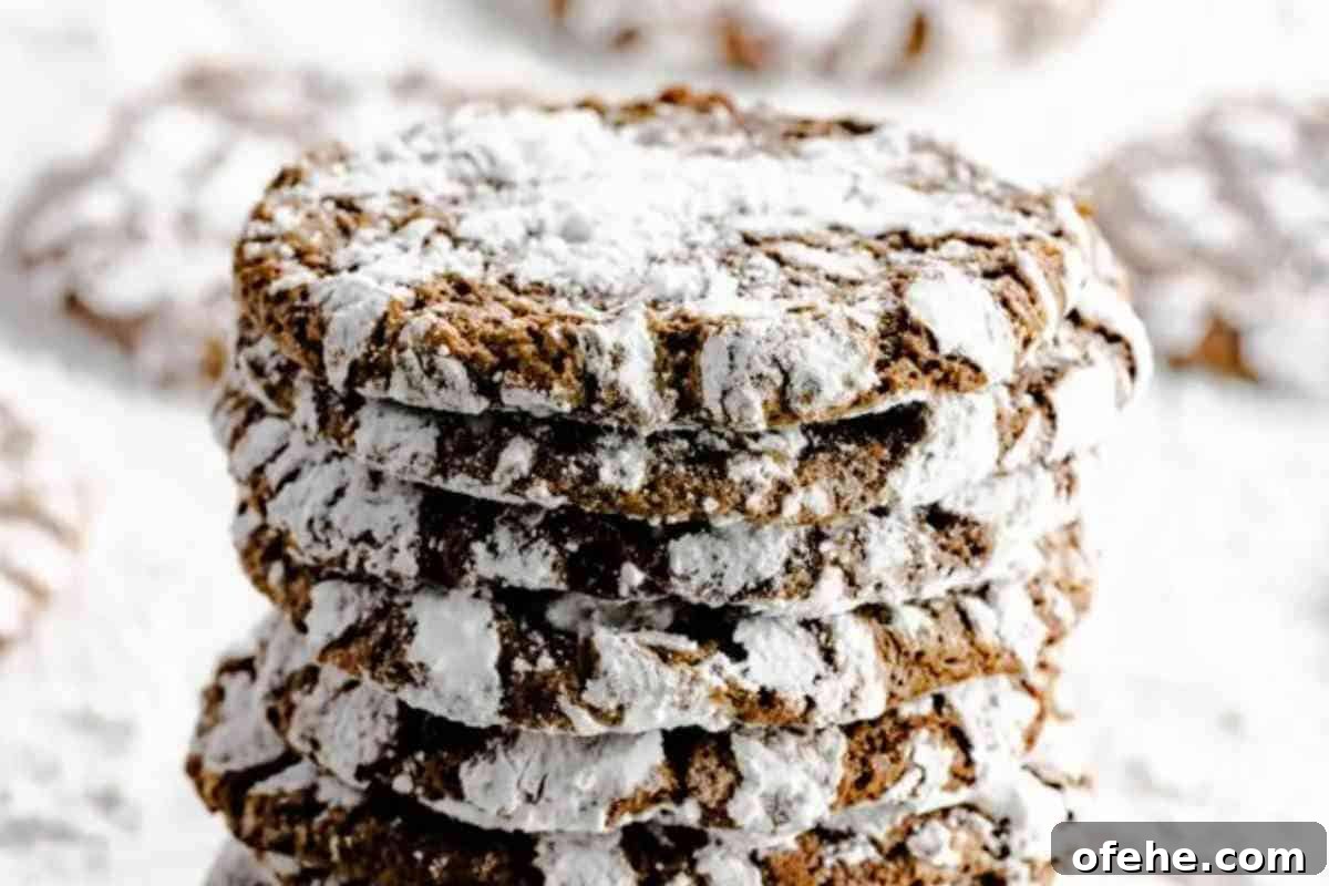 Chocolate Crinkle Cookies MSN image image.
