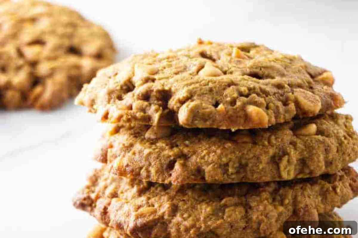 Butterscotch Pumpkin Oatmeal Cookies msn image.