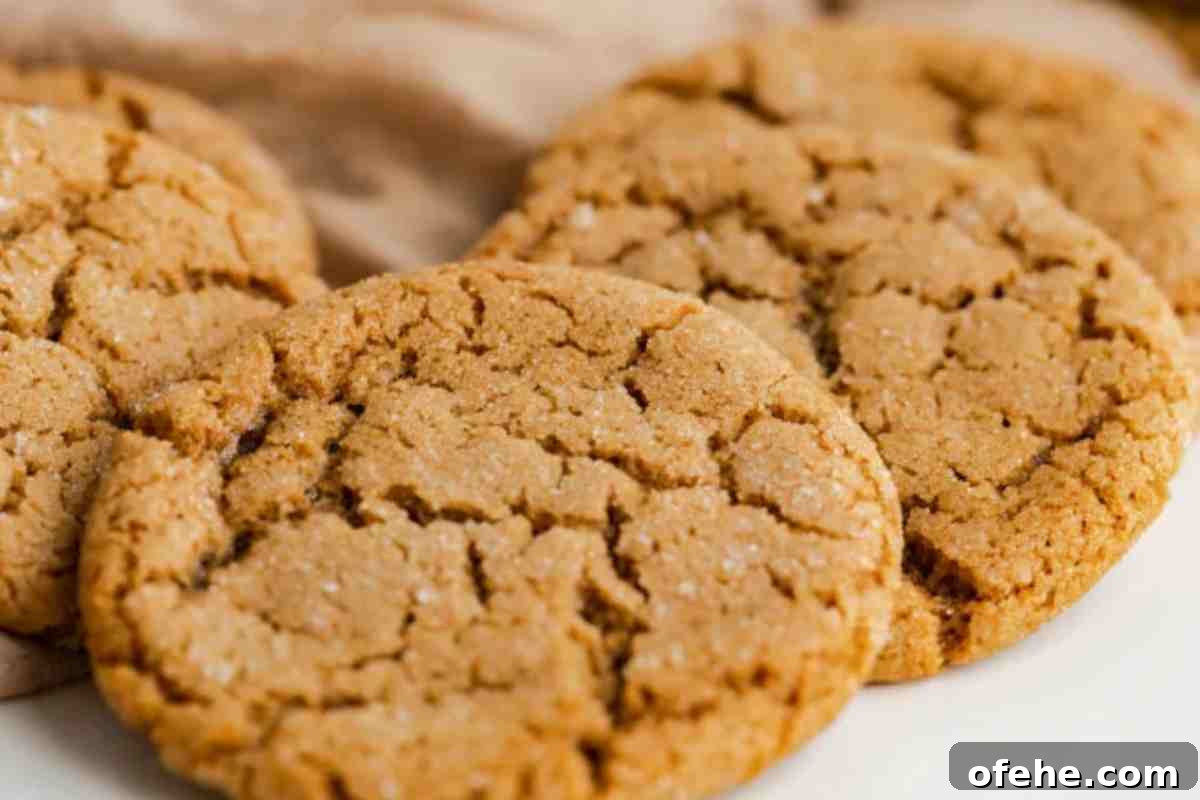 Chewy Gingersnap Cookies msn image.