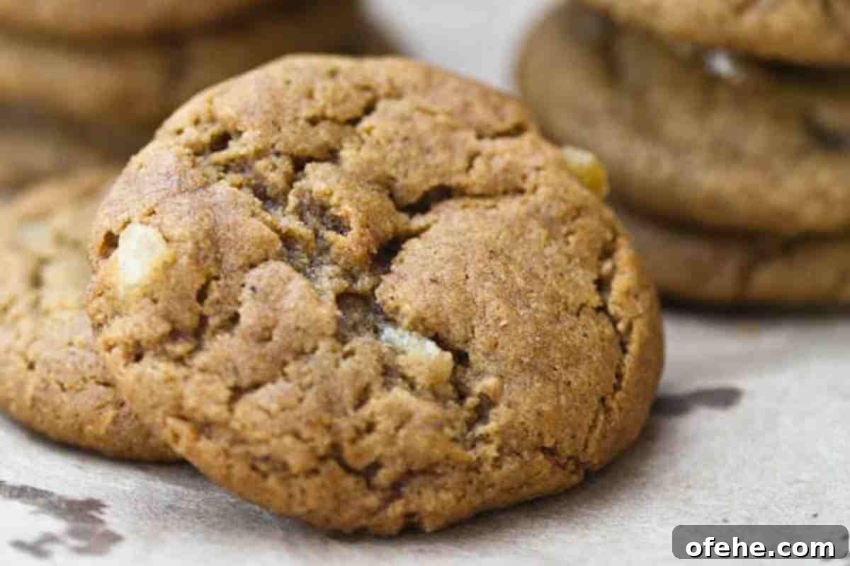 Ginger Chip Spice Cookies msn image.