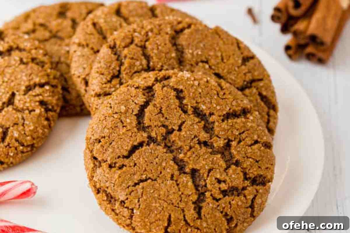 Molasses Cookies Texanerin msn image.