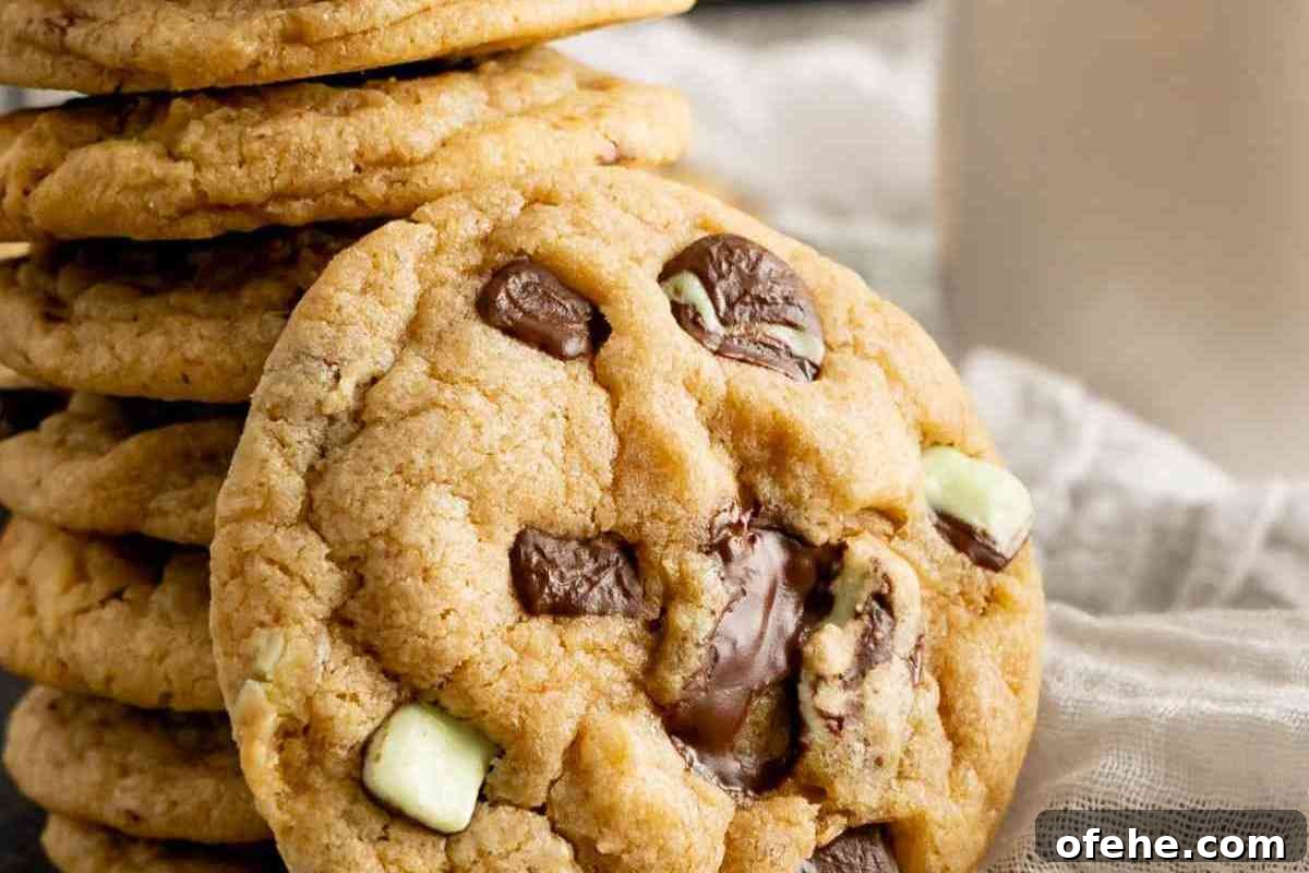 Mint Chocolate Chip Cookies msn image.