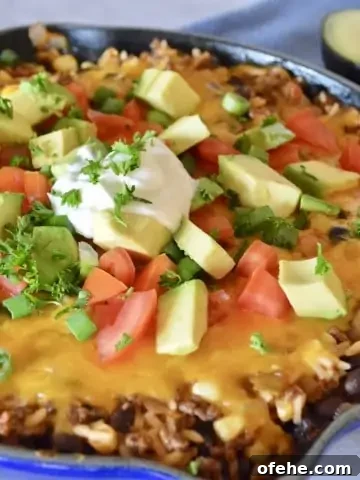 Cheesy Skillet Burritos