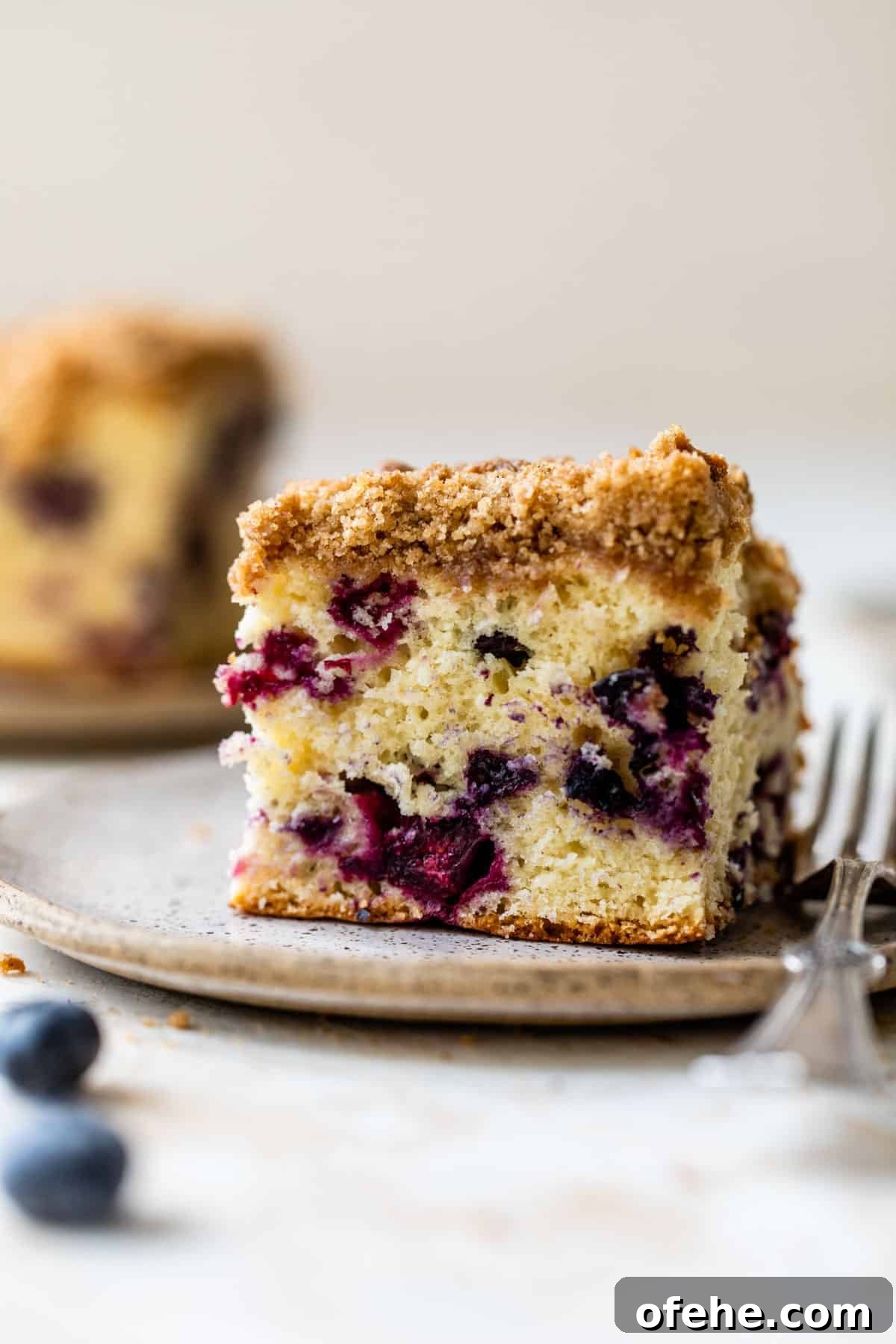 a piece of coffee cake with blueberries on a plate with a fork