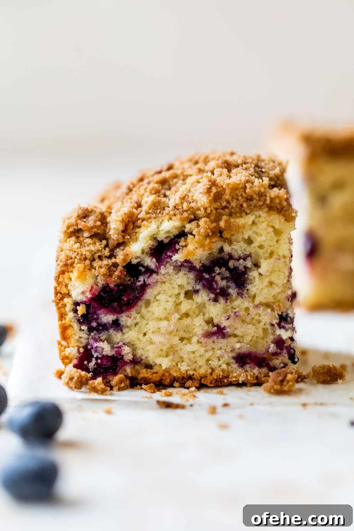 a piece of coffee cake with blueberries