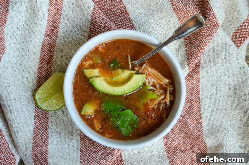 Chicken Tortilla-less Soup