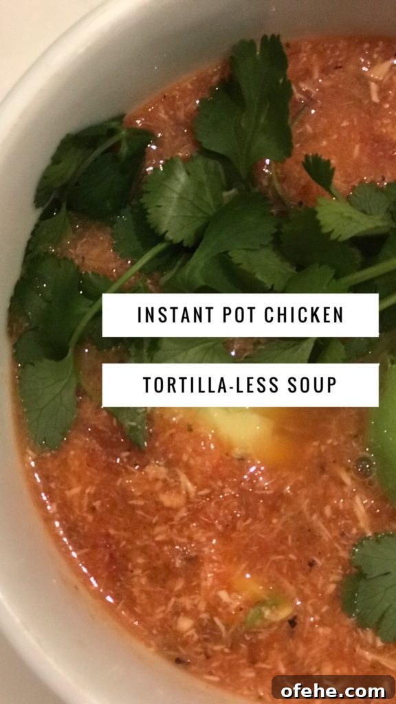 Chicken Tortilla-Free Soup Recipe: Zesty Low-Carb Mexican Chicken Soup 4 img 1188 3