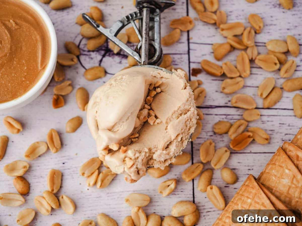 Creamy Peanut Butter Ice Cream Recipe for Homemade Treat 4 Peanut butter ice cream in a ice cream scoop, with peanuts, peanut butter and ice cream cones on the side.