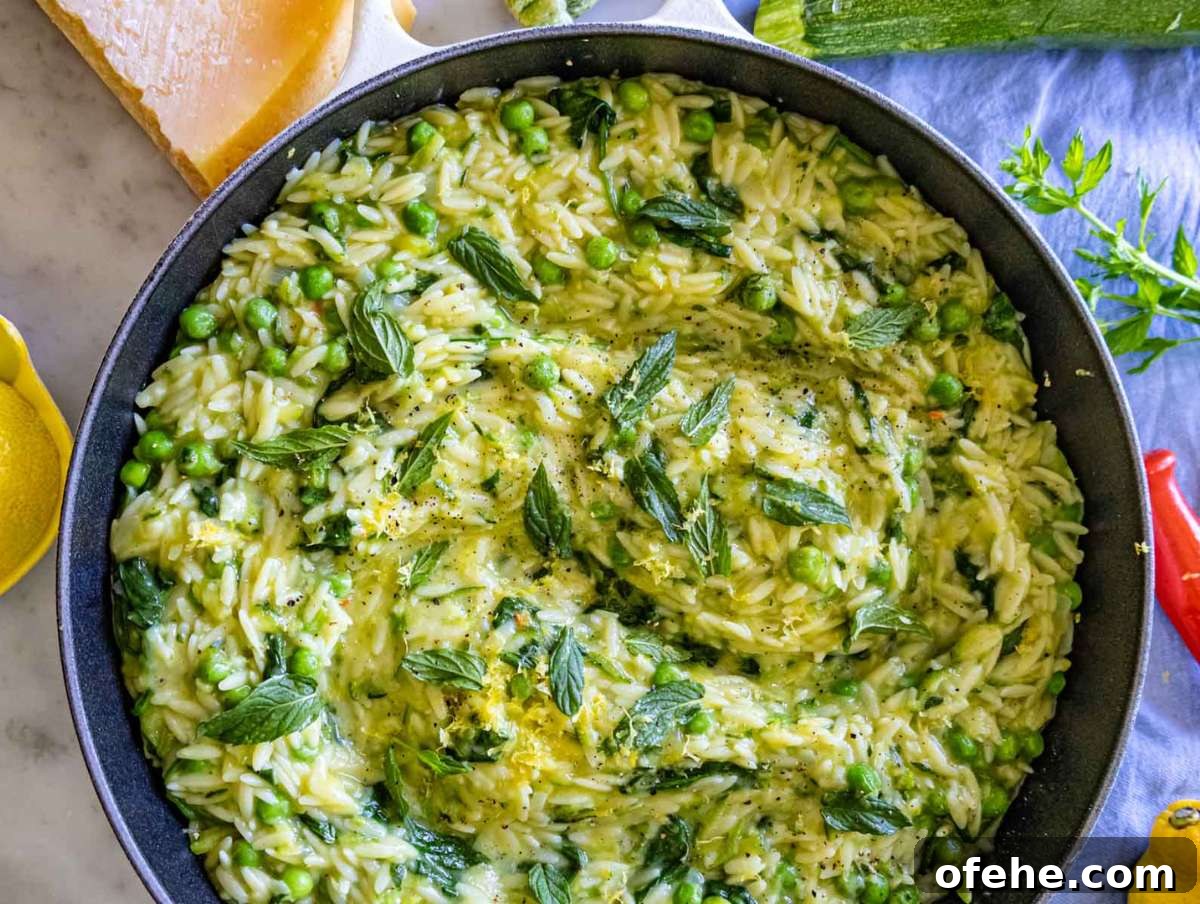 30-Minute Dinners We Cook on Busy Weeknights 10 Finished lemon orzo with zucchini served in bowls, topped with mint and extra cheese.