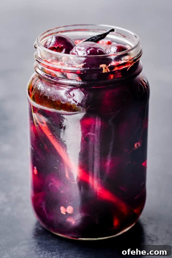 Quick Pickled Fruit: Perfect Brine Ratio for Every Batch 10 Pickled cherries! Cherries pickled in a jar with rosemary, vanilla, pink peppercorns, cinnamon and pickling brine, side angle shot.