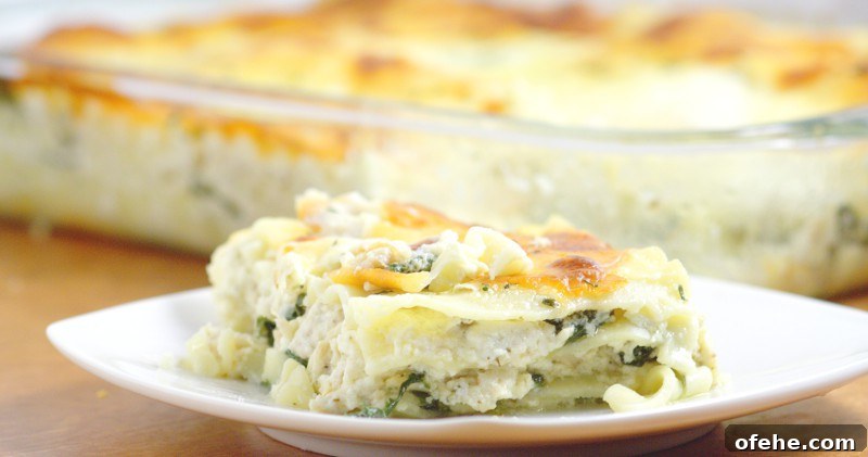 Chicken Alfredo Lasagna Recipe - creamy homemade Alfredo sauce layered chicken, spinach, and lots of gooey cheese makes this pasta recipe a family dinner favorite. So creamy and delicious!