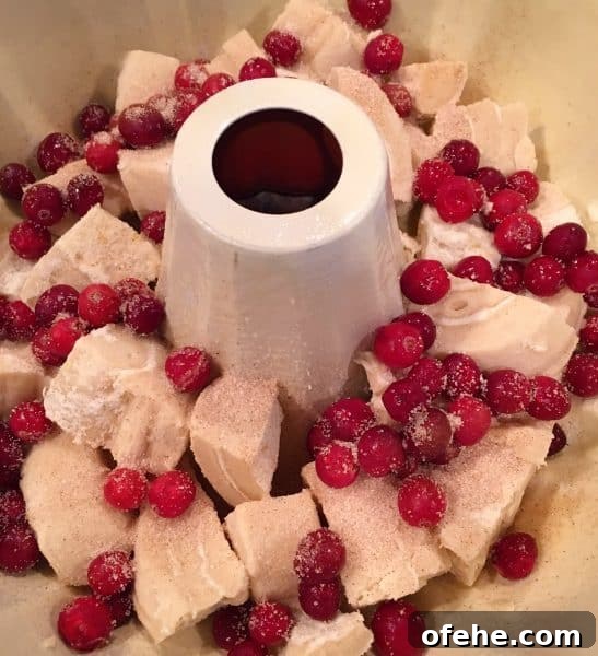 Cranberry Orange Pull-Apart Monkey Bread Recipe 5 adding fresh cranberries to the cut up orange rolls