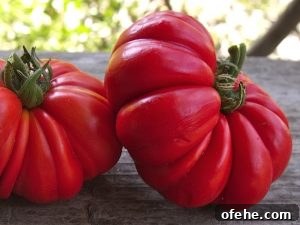 heirloom tomatoes img 129 2