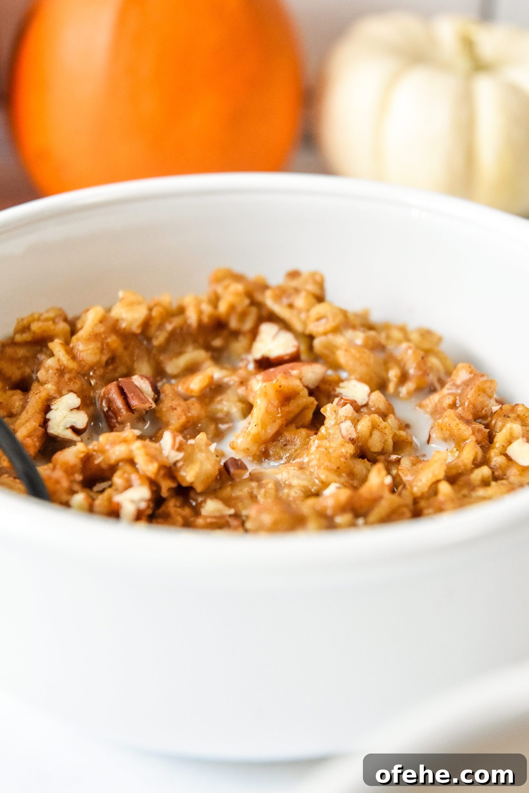 Instant Pot Pumpkin Spice Oatmeal Recipe for Fall Mornings 8 bowl of oatmeal.