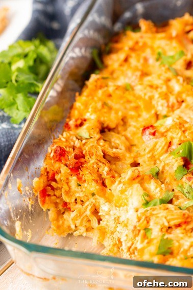 Cheesy Chicken Taco Casserole Recipe for Weeknight Dinners 12 Chicken Fajita Casserole