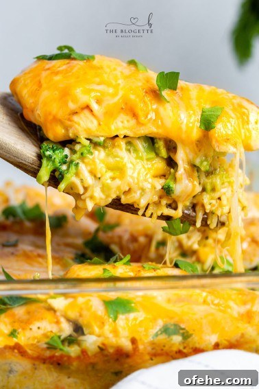 Cheesy Chicken Taco Casserole Recipe for Weeknight Dinners 10 Broccoli Cheese Casserole